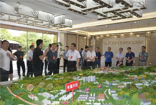 桂阳县人大常委会组织在桂省 市 县人大代表开展集中视察活动