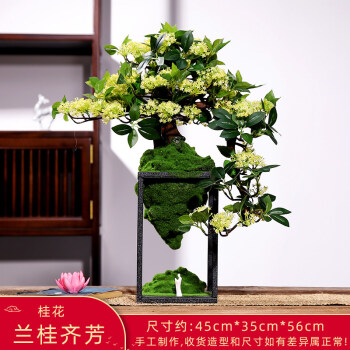 清杏黄江绸彩绣兰桂齐芬女夹袍