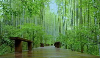 新西湖十景 一 西湖新景如梦