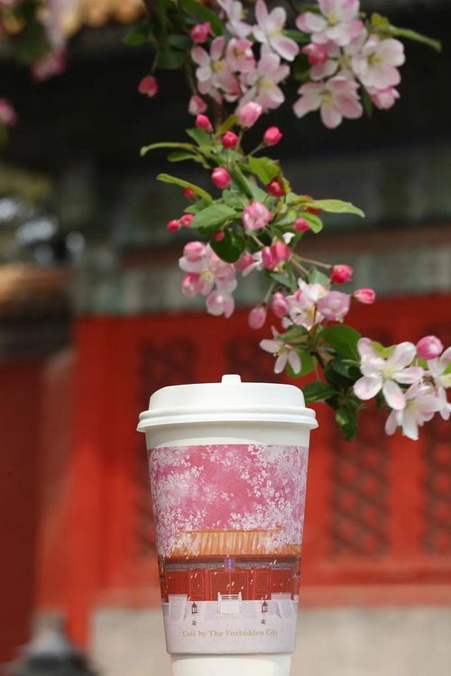 从荷花雪糕 三千佳丽奶茶到剧本杀,文创产品让我们多了去博物馆的理由
