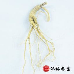 加盟沐林参业保健食品 抓住健康产业新机遇