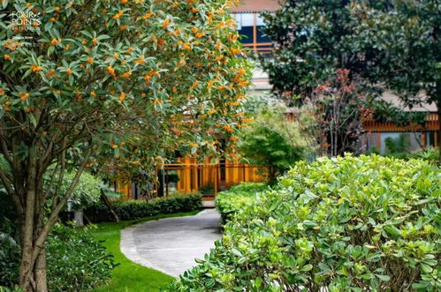 秋天的第一份桂花香已送达 | 入住安仁，沐浴在秋季的天然香氛中