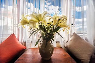 丽江沐月栖人文精品客栈体验分享 沐风兰桂房型深度评测