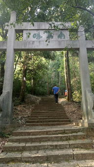 满觉陇 十月桂花香 沐风兰桂