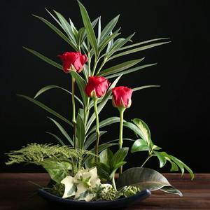 兰桂齐芳沐惠风